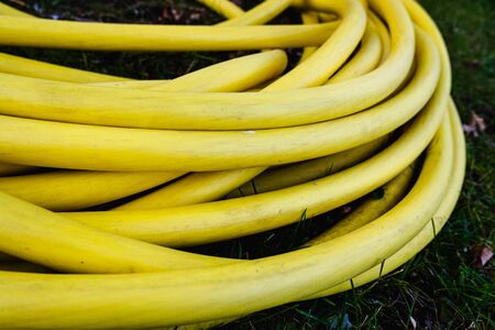 Watering hose, plastic, rolled in a garden.の写真素材