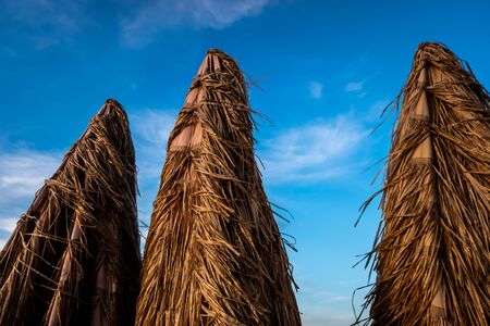 Umbrellas collected from palm in a fancy restaurant in a marina bay resort.の写真素材