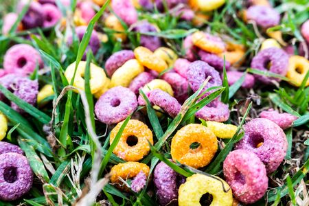 Detail of a ring cereal breakfast of bright colors scattered on the ground of a park.の写真素材
