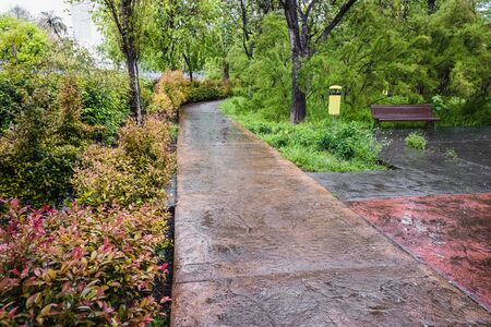 A flowery urban park on a lonely rainy day.の写真素材
