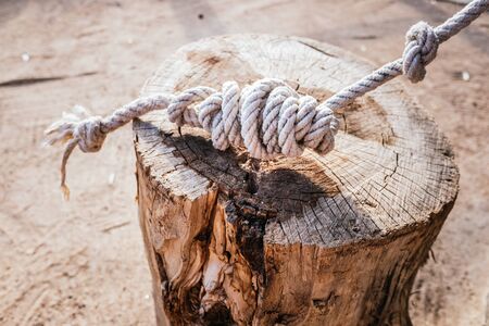 Detail of a complicated rope knot securely tied to a log.の写真素材