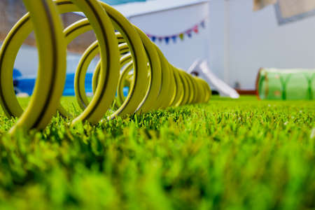Green hose on the grass and compressed coiled.の写真素材