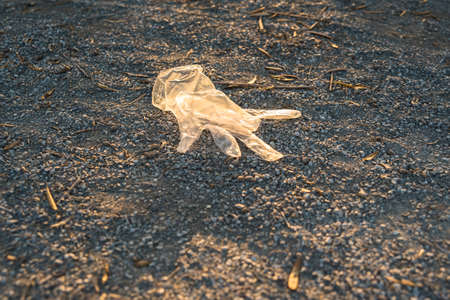 Plastic gloves from a supermarket abandoned on the ground in a park, polluting.の写真素材