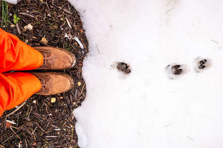 Feet of man with shoes standing in front of a snowy field.の写真素材