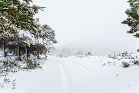Snowy road on the mountain one winter dayの写真素材