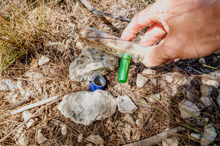 Geocache hidden in a forest found by searchers