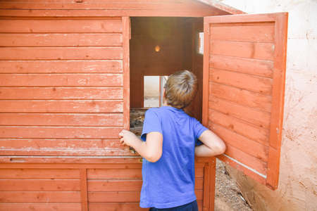 A boy, with his back turned, looks into a dirty chicken coop.の写真素材