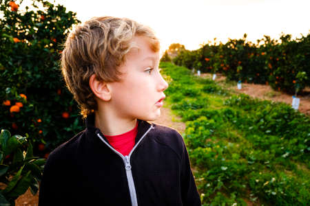 Child with surprised face at sunset in an orchard of fruit trees outdoorsの写真素材