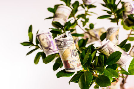 The green deal, source of income and economic benefits with the sustainable and ecological economy.の写真素材