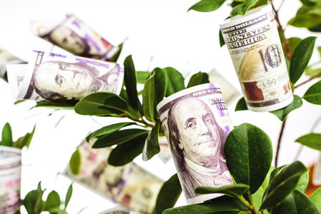 A tree with dollar bills hanging from its branches, concept of easy money.
