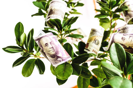 The green deal, source of income and economic benefits with the sustainable and ecological economy.の写真素材