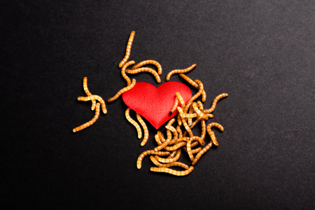 Heart broken background for valentine, rotten by worms metaphor.の写真素材