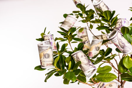 The green deal, source of income and economic benefits with the sustainable and ecological economy.の写真素材