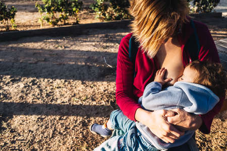 Baby breastfed in a park in the sun.の写真素材