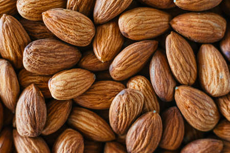 Prunus dulcis nut, almond, rich in phosphorus, vitamin E and proteins.の写真素材