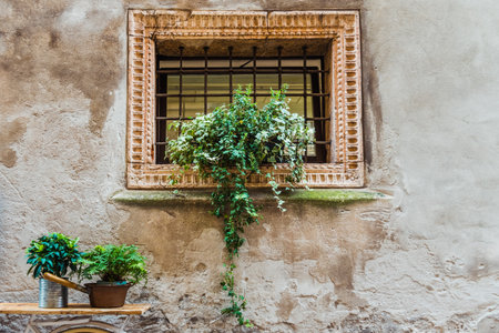 A flower decorates a lattice window on an old wall in a pretty European city.の写真素材