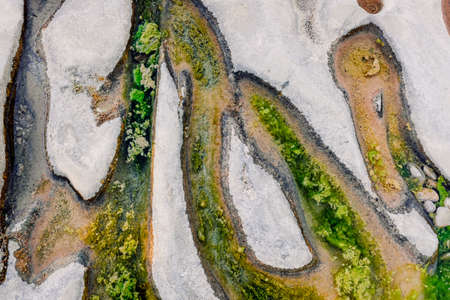 Algae grow on the bedrock of a dry river producing eutrophicationの写真素材
