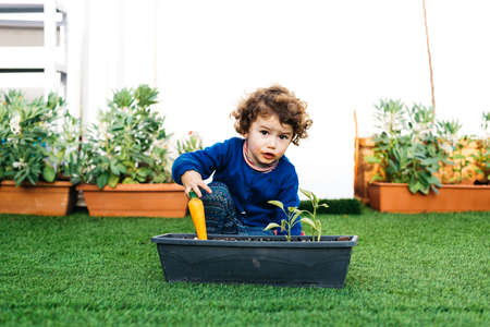 Nice adorable little girl playing in the backyard garden with plants and pots.の写真素材