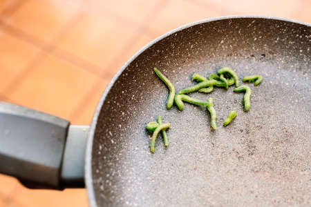 live worms in a pan, concept of disgusting and protein feeding, ready for frying of an unusual meal, insect food rich in proteins an alternative food, cheap and healthy diet of the futureの写真素材