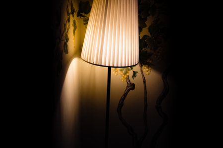 An elegant low wattage lamp creates an atmosphere of seclusion and nostalgia in a darkened room.の写真素材