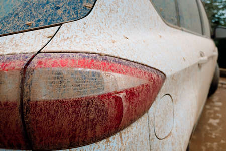 Detail of white cars very dirty from rains of mud, unwashed and neglected, covered in dust.の写真素材