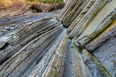 Detail of flysch, rocks of sedimentary origin that slide over each other.