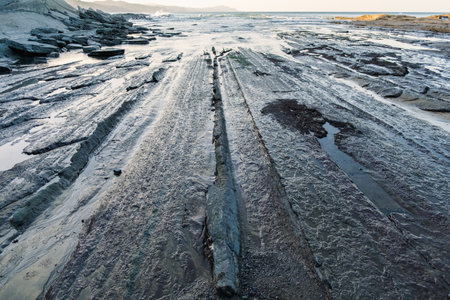 Detail of flysch, rocks of sedimentary origin that slide over each other.