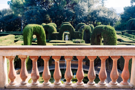 A maze with cypresses for people inside a romantic gardenの写真素材