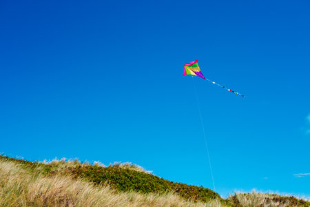 Colorful kite flies in the blue sky with white clouds, copy space