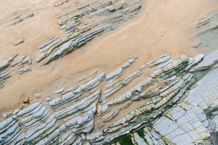 Flysch buried in the sand of a beach, beautiful geological background.の写真素材