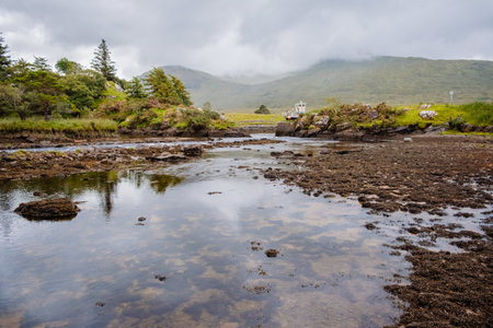 A stream flows into a lake, with a small abandoned port.の写真素材