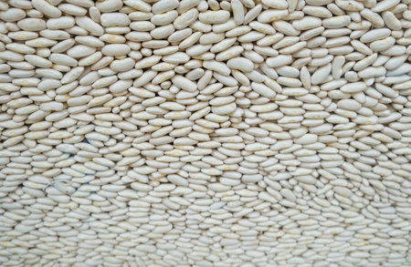 This close-up shot showcases a bunch of dried Asturian beans, highlighting their various shapes,...