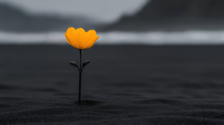 A single vibrant yellow flower stands tall amidst the dark black sand, captured against a backdrop of a foggy coastline. The contrast highlights the flower's beauty in an otherwise stark environment.の素材
