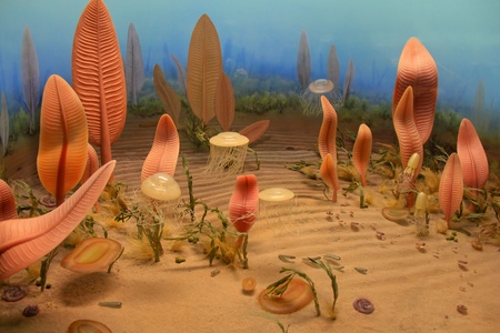 Some strange plants on the bottom of the sea.