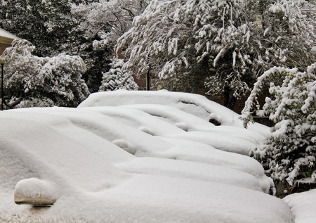 Cars are buried in white snow on parking at the morning.の写真素材