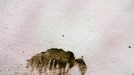 stained wallsの写真素材