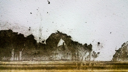 stained wallsの写真素材