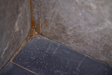 Tile in corner of toilet has dirty stains, Wall and floor tiles have mold.の写真素材