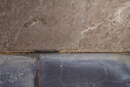 Tile in corner of toilet has dirty stains, Wall and floor tiles have mold.の写真素材