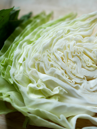 Close up cabbageの写真素材