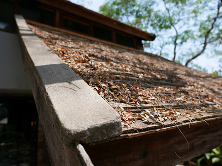 The roof of a house covered by dead leavesの写真素材