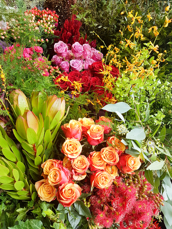 Colorful Roses Bouquet (Orange, Red, and Pink Roses) in Florist Shopの写真素材