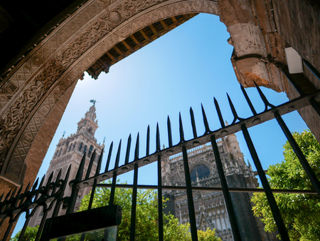 Low angle view of Seville Cathedral with a part of orange trees by looking through the fence in Seville, Spain.の写真素材