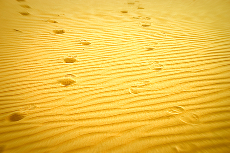 Footsteps in the desertの写真素材