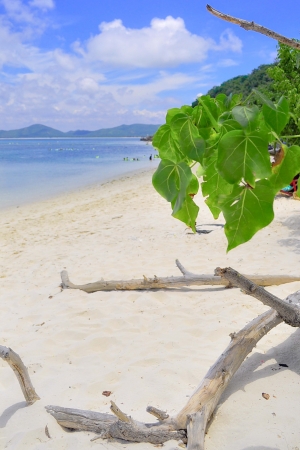 beachの写真素材