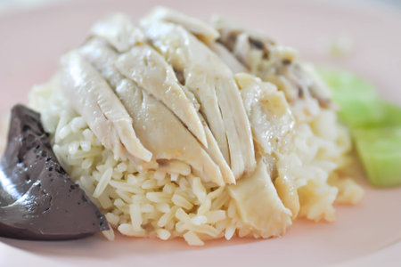 Hainanese chicken rice dishの写真素材