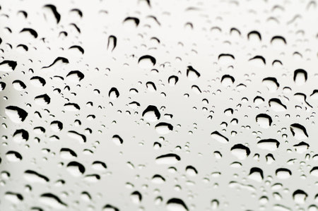 black and white dew drop backgroundの写真素材