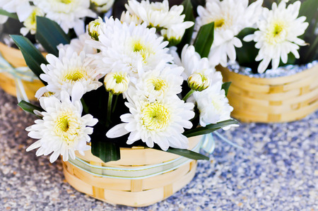 chrysanthemum morifolium flowers in the vasesの写真素材