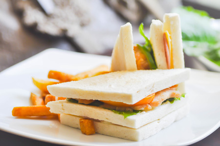 chicken sandwich with French fries dishの写真素材