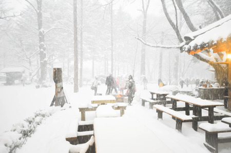 Winter  restaurant in snowy forest landscapeの写真素材